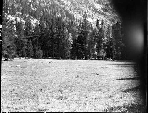 Meadow studies, one of the lower larger meadows in Cloud Canyon. Good Forage. Crop from right