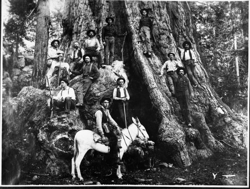 General Grant Tree, Misc. Groups, Early Millwood visitors to Grant Tree, early 1900's