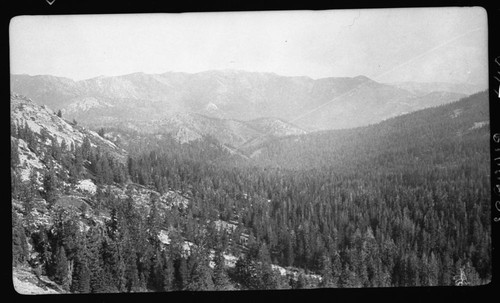 Mixed Conifer Forest Plant Community, on West Fork Soda Creek. Type Map. Left of two panel panorama