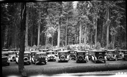 Vehicular Use, old cars at Bear Hill