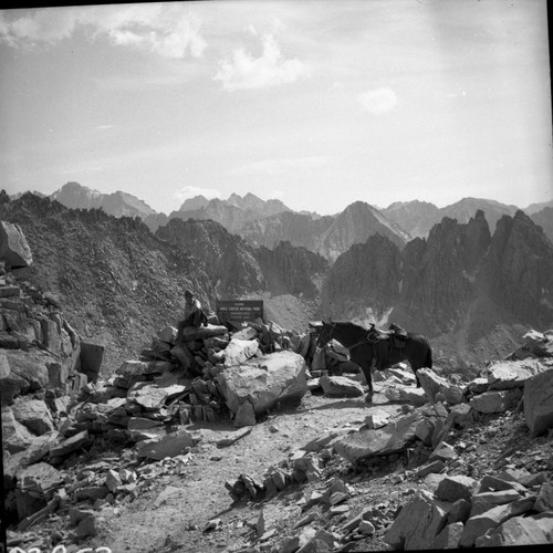 Misc. Gaps & Passes, Kearsarge Pass. Sign, Stock Use