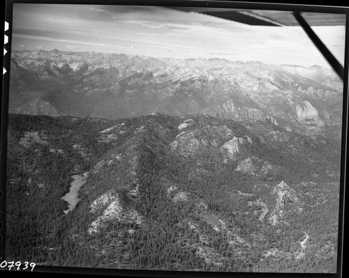 Meadow Studies, air photo of Williams and Sugarloaf Meadows, Field notebook pg 1109