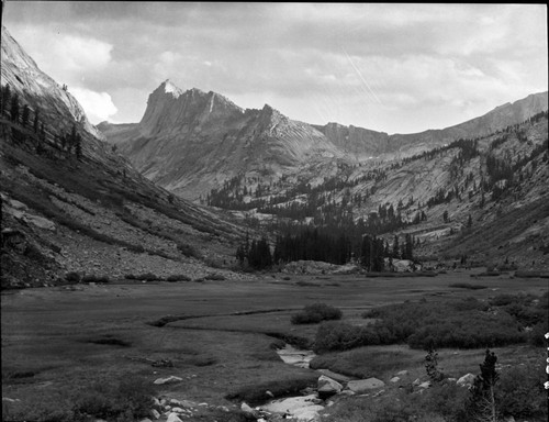 Misc. Meadows, meadow studies, Ranger Meadow