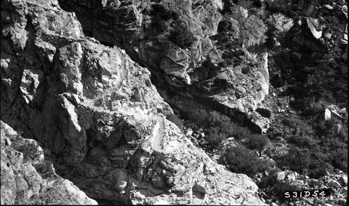 Lone Pine creek, SNP. Trails, trail up Lone Pine Creek toward Lone Pine Meadow