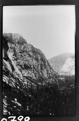 Glaciated Canyons. Right of two panels (see neg. no. 10796)