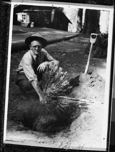 Dedications and ceremonies, Mather Tree planting with Frank Been