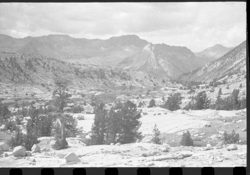 Misc. Basins, Dusy Basin. Subalpine Forest Plant Community