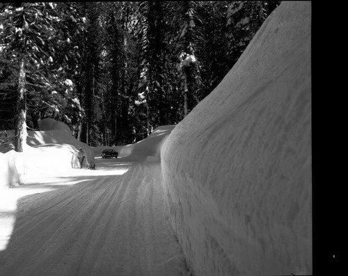 Record Heavy Snow, Record snowfall, Giant Forest