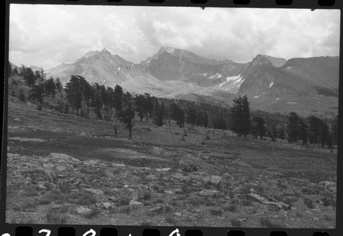 Misc. Mountains, Subalpine Forest Plant Community, Mount Russell and Mount Whitney