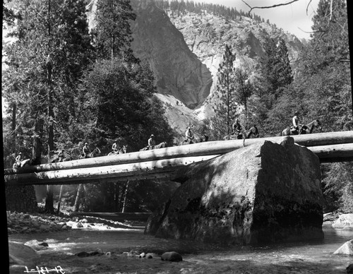 Stock Use, Bridges, old bridge across Kings River at Junction with Bubbs Creek Trail. Wirth, Merriam, Scoyen party