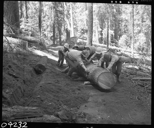 Construction, YCC Crew working on Congress Trail setting logs for benches