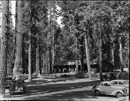 Buildings and Utilities, cars and people around Giant Forest Museum. Vehicular Use