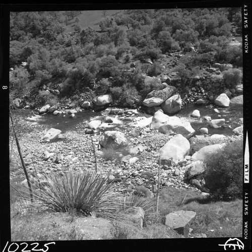 Middle Fork Kaweah River, Foothill Woodland Plant Community