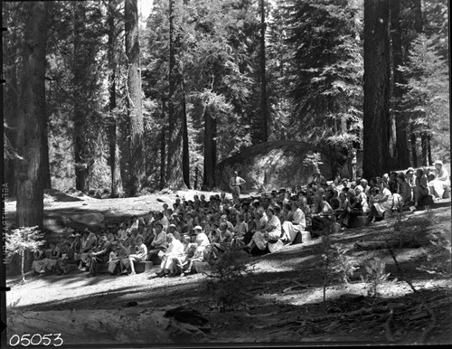 Misc. Groups, Religious Services, Church of the Sequoias. Misc. Visitor Activities