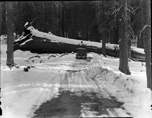 Tunnel Log, before tunnel