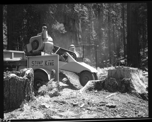 Misc. Forestry Concerns, Stump King Machine Removing Fir Stump