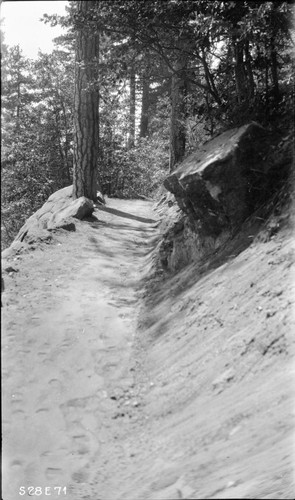 Construction, trail construction