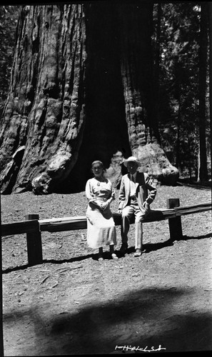 HIstoric Individuals, General Sherman Tree, Congressman and Mrs. Taylor at General Sherman Tree