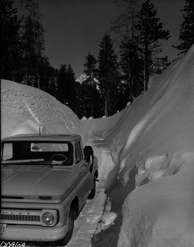 Record Heavy Snow, Record snows Giant Forest area