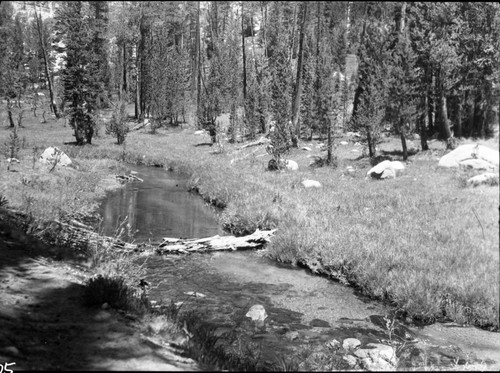 Meadow studies, undamaged meadow, sod extending to water's edge unbroken is a sign of health. Misc. Creek, Lost Canyon Creek