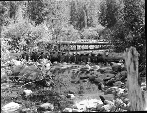 Misc. Resource Management Concerns, fish, completed fish dams in Marble Fork Kaweah River