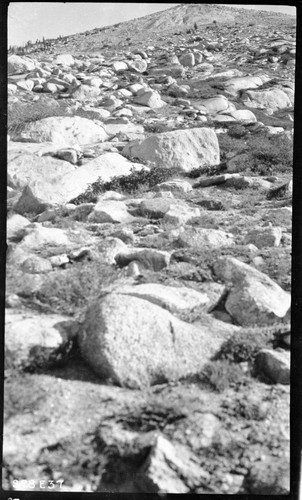 High Sierra Trail Investigation rock detail on trail to Lion Lake