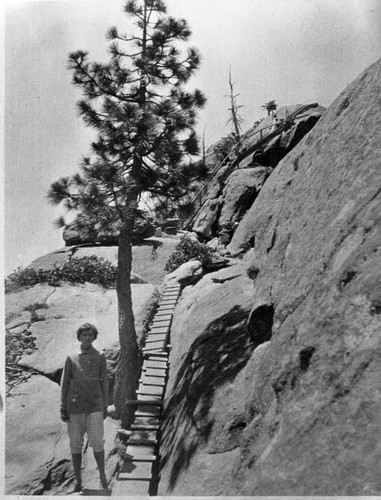 Buildings and Utilities, wooden steps on Moro Rock. Individuals unidentified