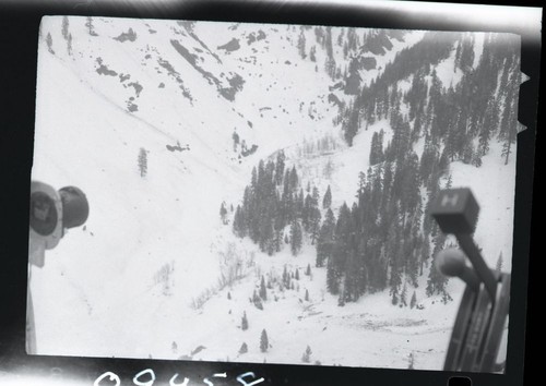 Record Heavy Snows, Avalanche damage from record 1969 snows