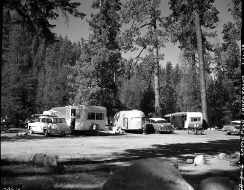 Camping, Lodgepole Campground