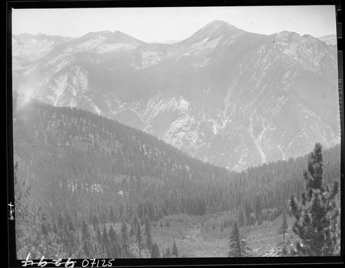 Meadow studies, seen from Granite Pass Trail. Misc. Meadows. South Fork Kings River Canyon