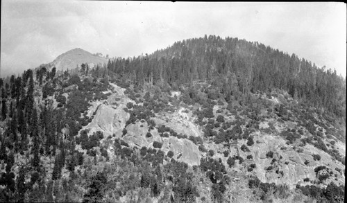 High Sierra Trail Investigation, Sugar Bowl Dome and northside River valle. Misc. Domes, Mixed Coniferous Forest