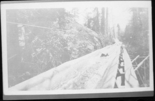 Logging. Logging flumes and trestles