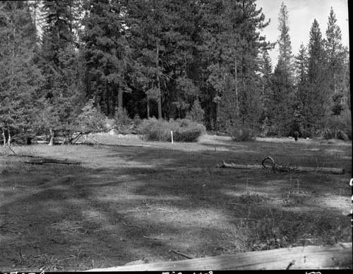 Meadow studies, Scaffold Meadow, Misc. Meadows