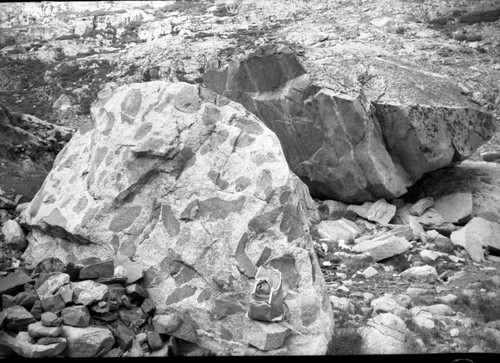 Misc. Geology, Xenoliths, White Chief Bowl