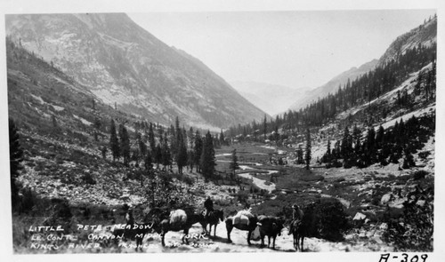 Misc. Meadows, Le Conte Canyon, Middle Fork Kings River. Taken about 1918. Copied from the book "Rainbow Trail"