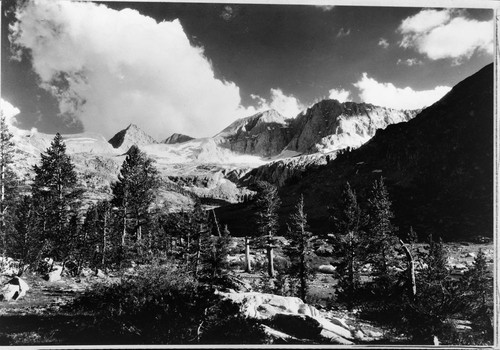 Misc. Peaks, Lodgepole Pine Forest Plant Community, view south towards Junction Peak