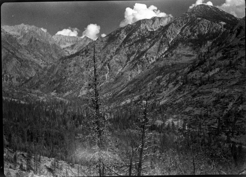 Wildland Fires, Results of 1948 Simpson Meadow Fire, Right of two panels