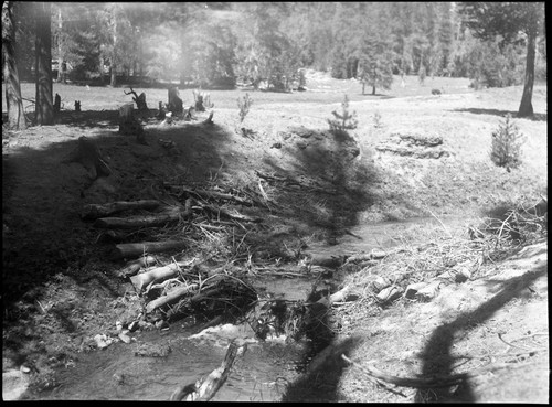 Meadow studies, Old check dam in creek. Note sand accumulation and bank conditions. Dry 10 feet above stream. Brush dams seem quite effective here. Fig 137 Armstrong Report. Misc. Resource Management