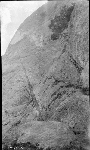 Construction, Moro Rock trail south from station 0+00