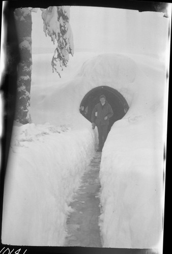 Record heavy snows, NPS Individuals, Larry Bancroft at Lodgepole Visitor Center