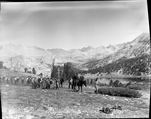 Stock Use, Misc. Basins, Upper Basin, Sierra Club Burro Party near Junction of John Muir Trail and Bench Lake trail