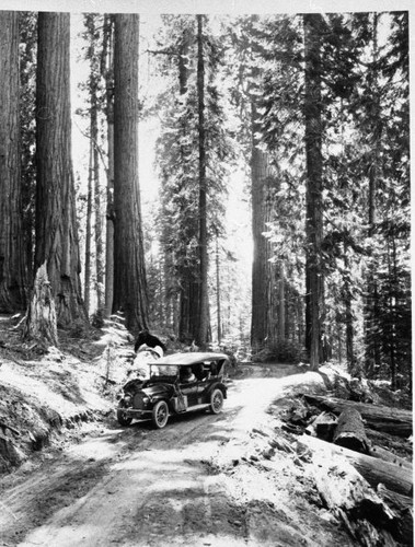 Vehicular Use, Roads, Giant Sequoias. Old stage to Giant Forest