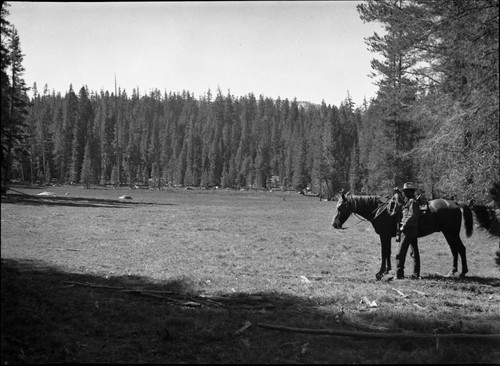 Meadow Studies, Lower Lewstall 12 acres. Horse feed left 2" ave. height. 5" top, good conditions. Stock Use, Misc. Meadows