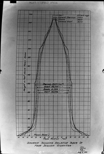 Maps and Graphics, Graph showing the relative size of four biggest trees