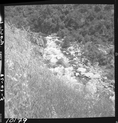 Middle Fork Kaweah River, Foothill Woodland Plant Community