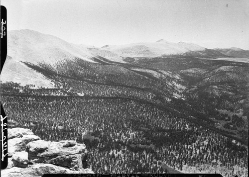 Upper Rock Creek, Cirque Peak, remarks; part of Panorama, see negs, no. 05923. Misc. Canyons, Misc. Peaks, Subalpine Forest Plant Community