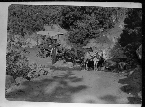 Vehicles and equipment, stage to Slapjack Creek, Mineral King Road. William Swanson, of Three Rivers, driver