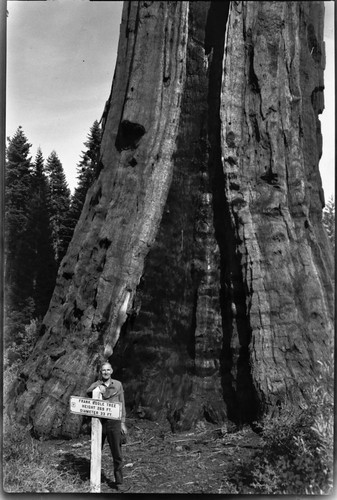 Boole Tree, with Col. Jr. White. Signs