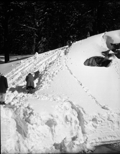 Record Heavy Snow, Snowplay, Record snowfall, Giant Forest