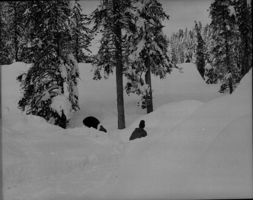 Record Heavy Snows, Visitor Center-heavy snow